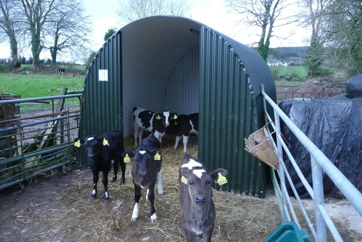 Large Calf Donkey Pony Llama  Sheep Shed Shelter - Image 1