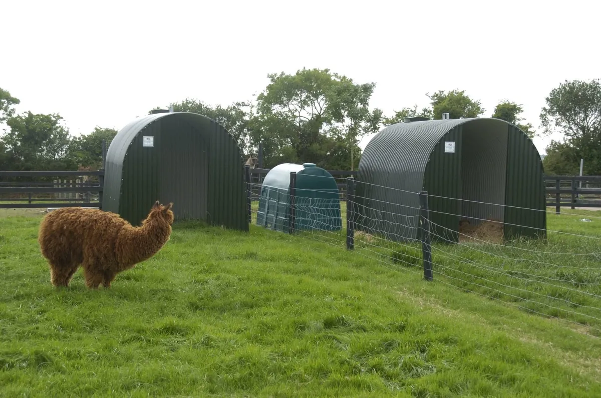 CALF SHEEP PIG GOATS DONKEY ALPACA SHED SHELTER