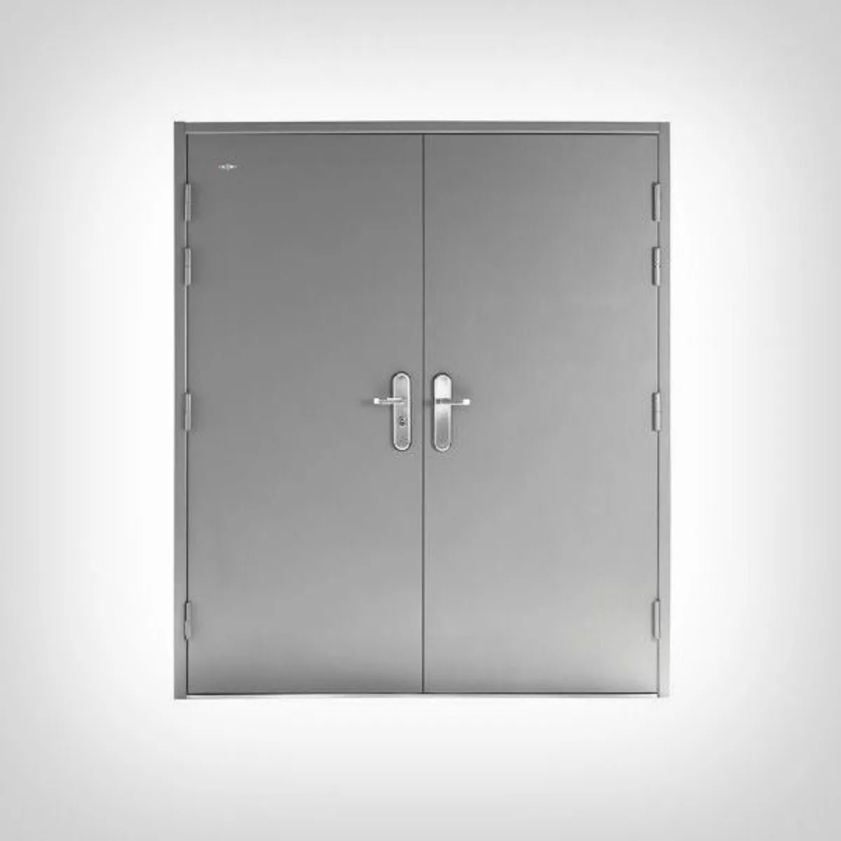 Heavy Duty Steel Double Doors