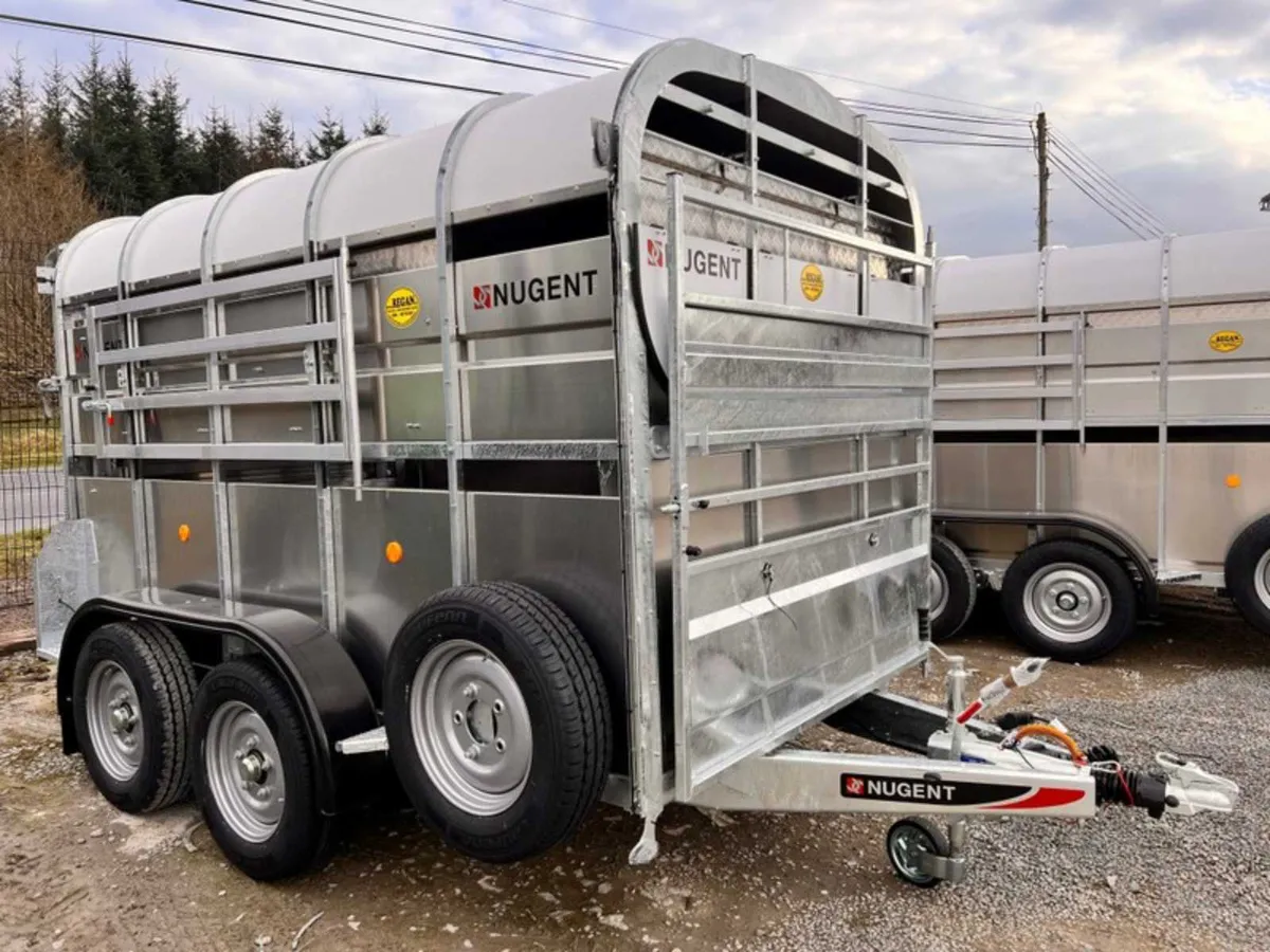 Nugent 10x6 Livestock C/W Decks- Available