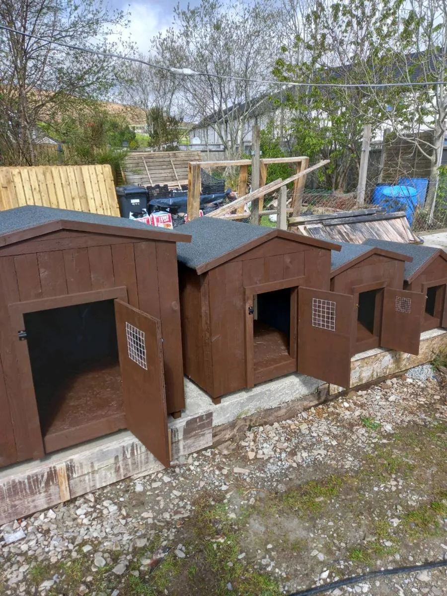 Dog Kennels - Image 3