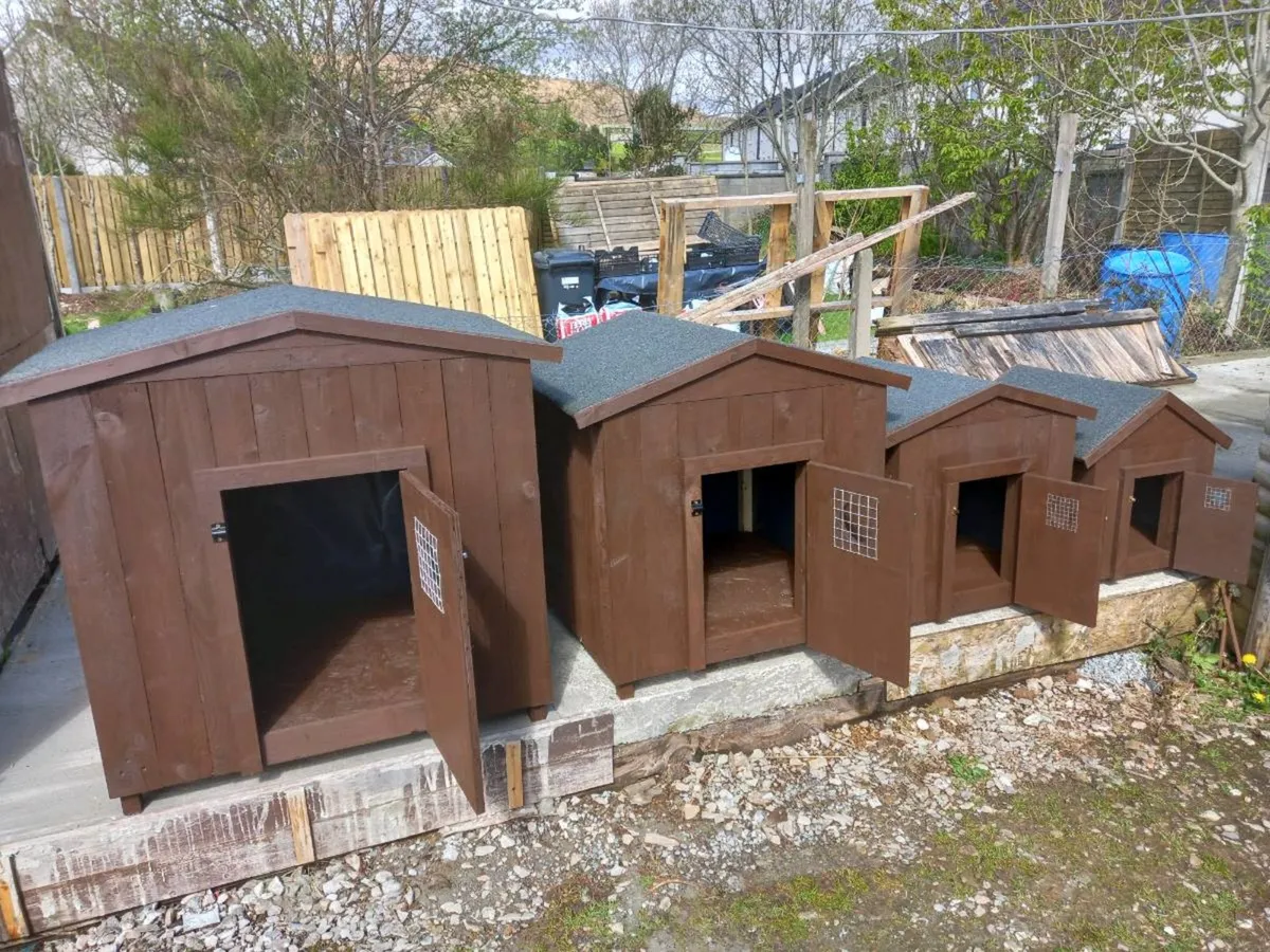 Dog Kennels - Image 4