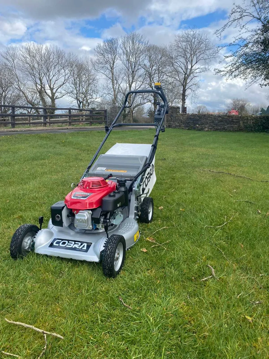 New Cobra TN1960SXH Lawnmower - Image 4