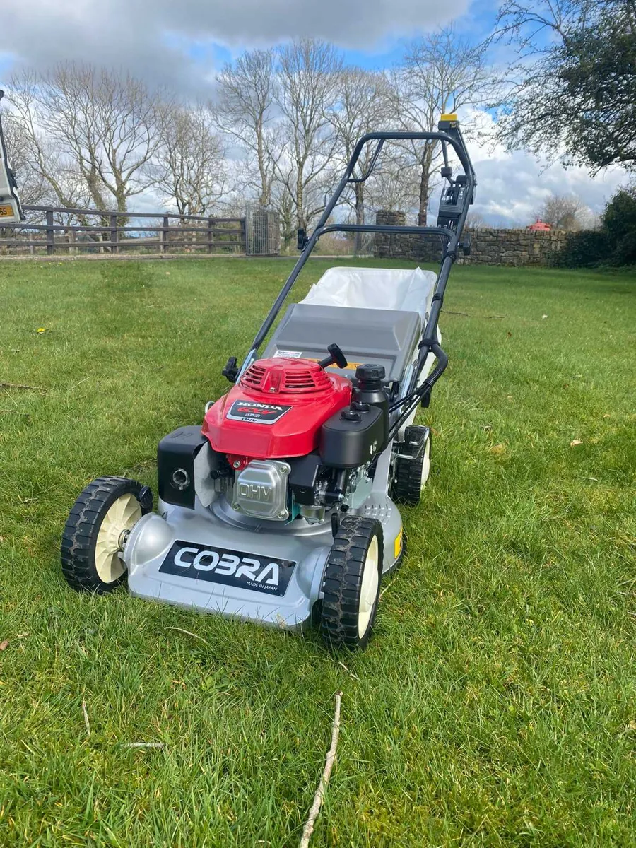 New Cobra TN2160SXAH Lawnmower - Image 2