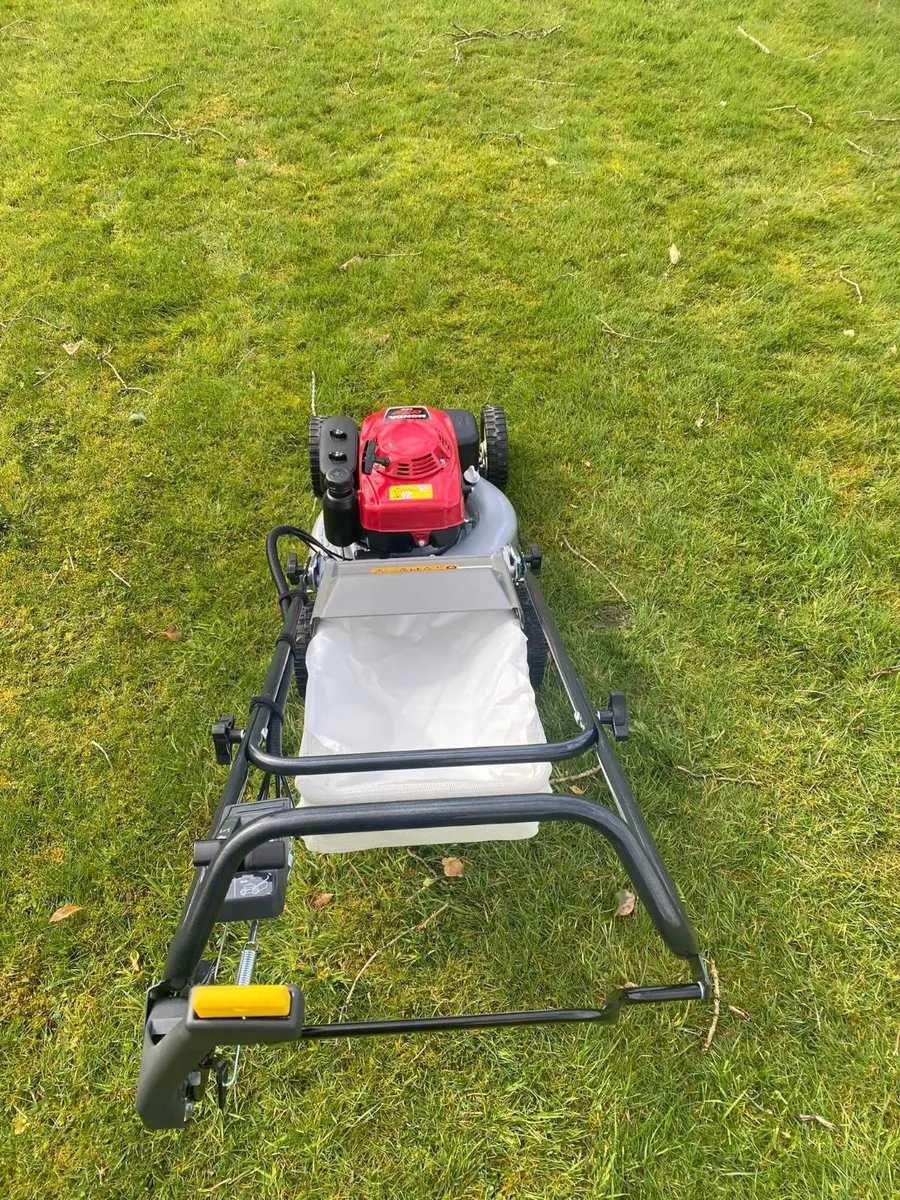 New Cobra TN2160SXAH Lawnmower - Image 3