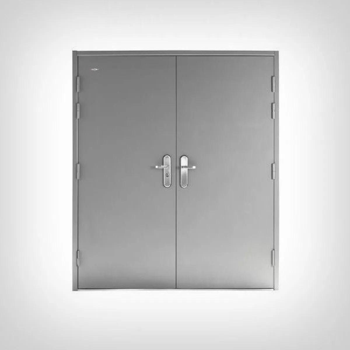 Heavy Duty Steel Security and Fire Escape Doors