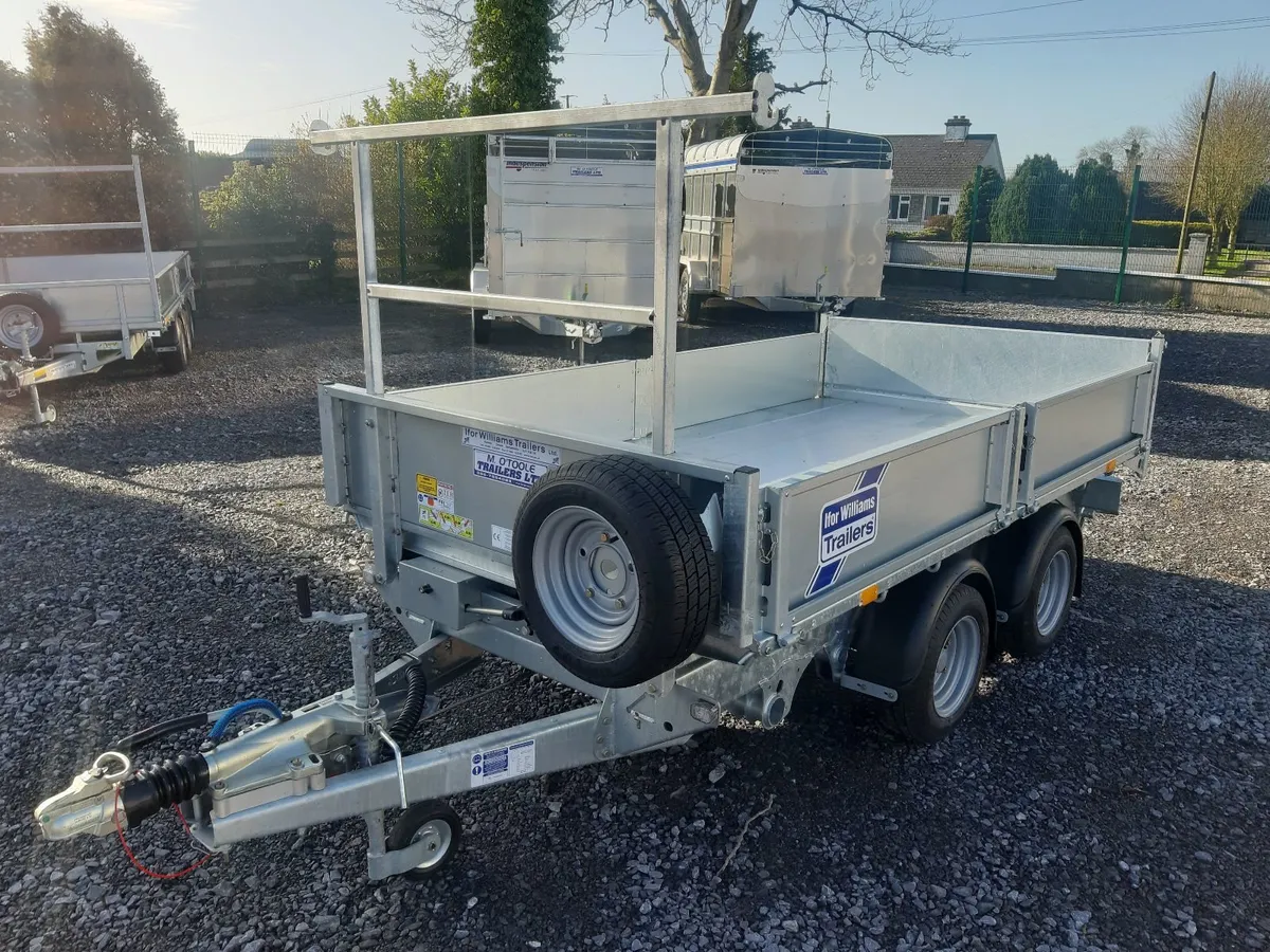 IFOR WILLIAMS  12' x 6'6"  TIPPING TRAILER - Image 3