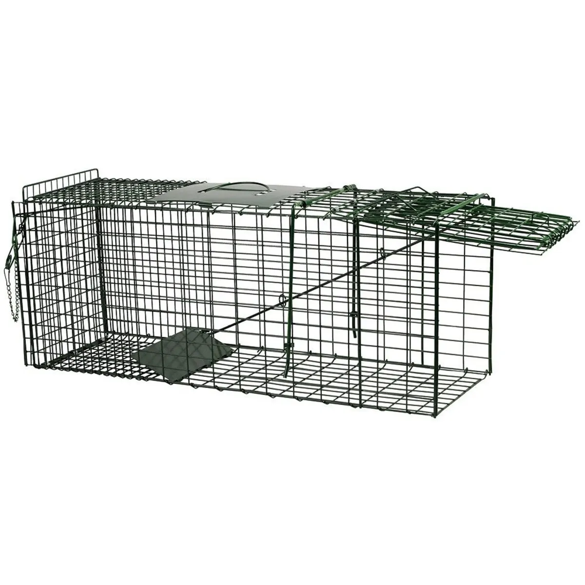 Cat Cage Traps for sale - www.maceoinltd.com - Image 1