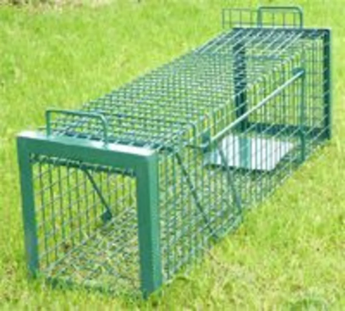 Cat Cage Traps for sale - www.maceoinltd.com - Image 3