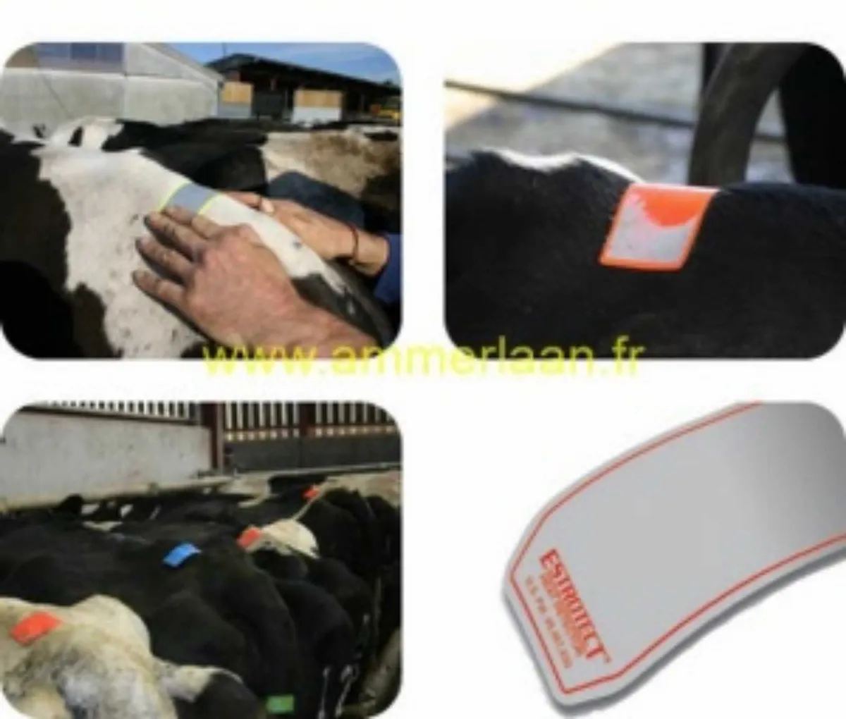 Estrotect Heat Detection Patches for sale at FDS - Image 4