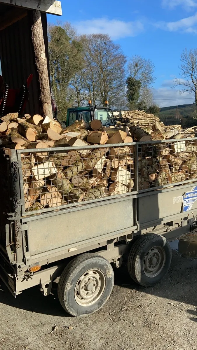 Firewood hardwood and softwood - Image 3