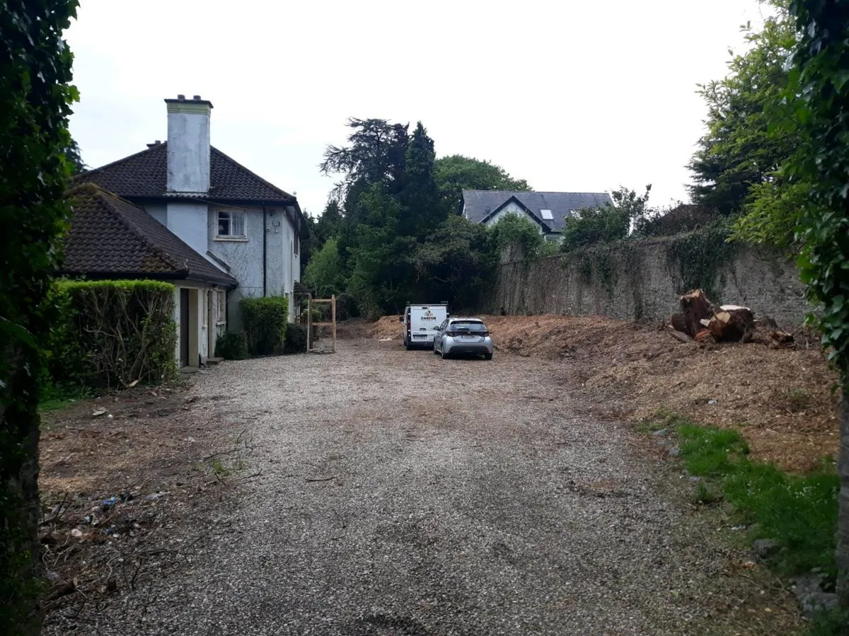 Carson Landscapes Tree Care & removal - Image 1