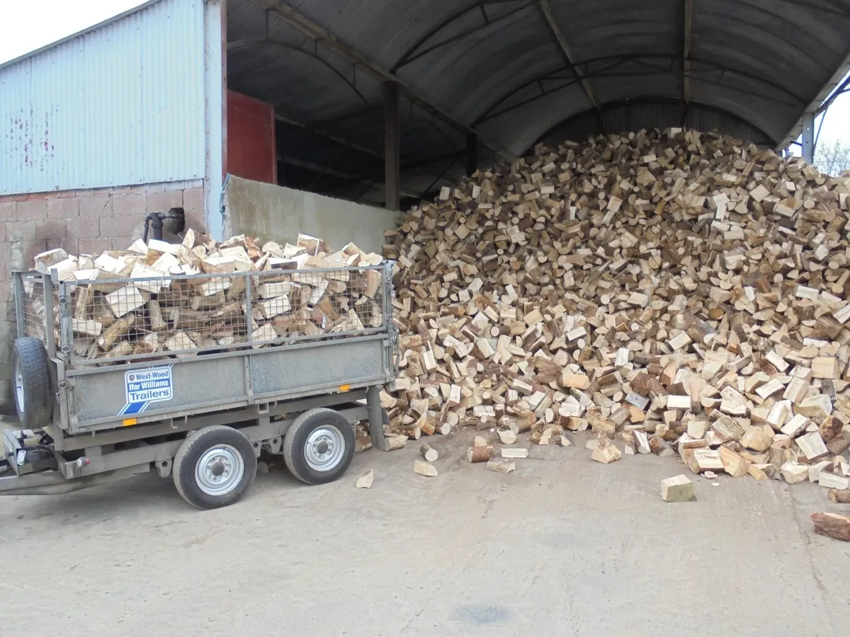 FIREWOOD - Image 1