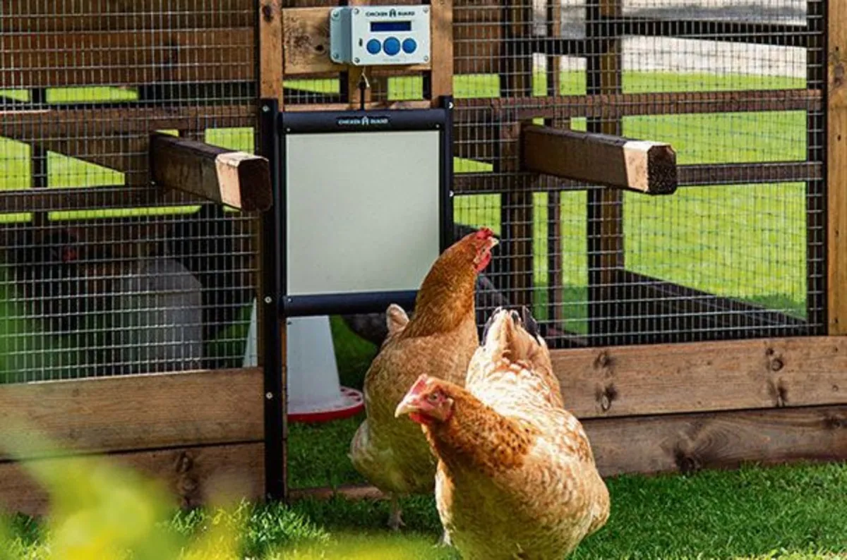 ChickenGuard Poultry House Door Openers & Door - Image 1