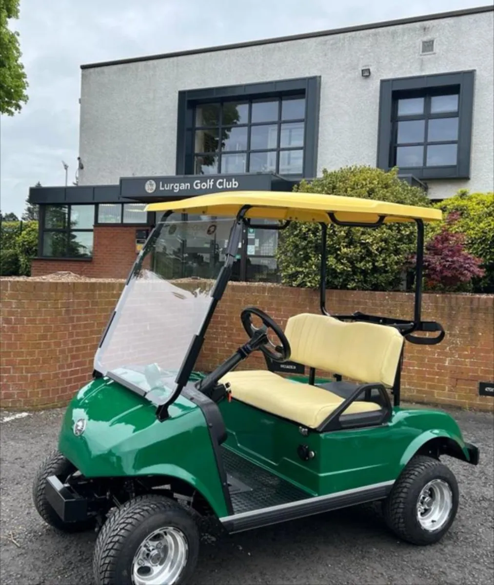 HDK Electric Golf Buggy - Lithium Battery - Image 4