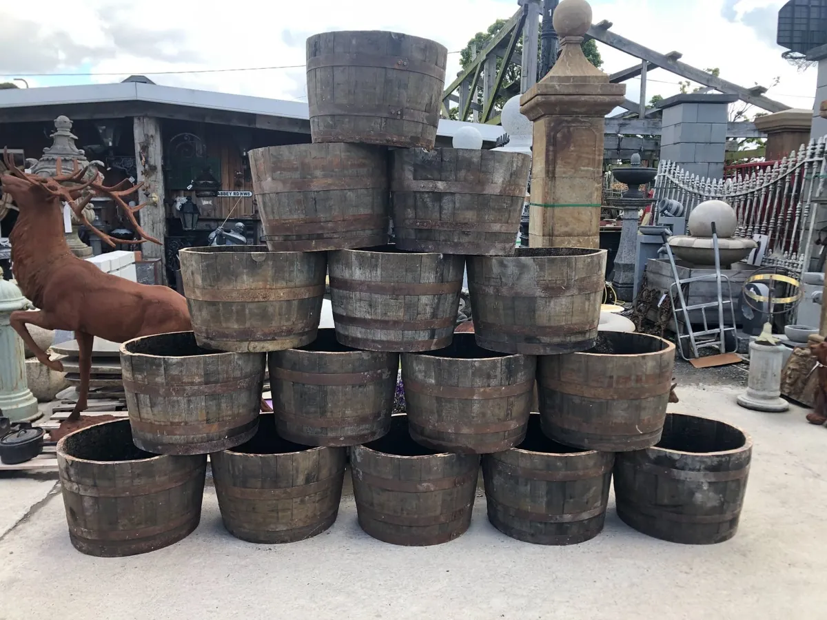 Oak Whiskey Barrels Full & Half barrels - Image 1