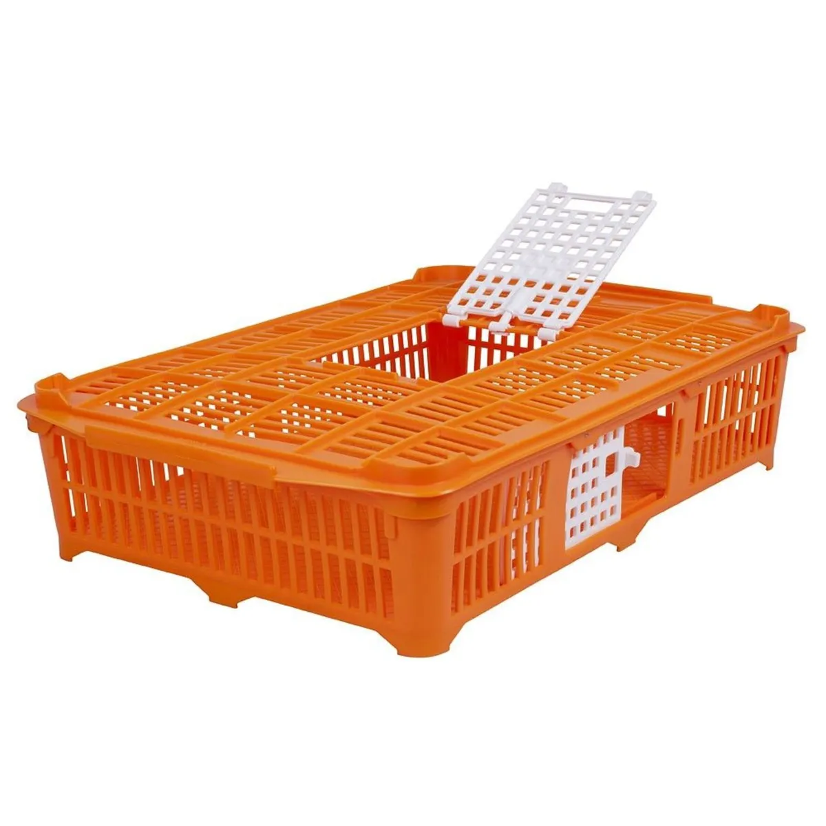 Pheasant, Poultry, Quail  & Pigeon Crates - Image 2