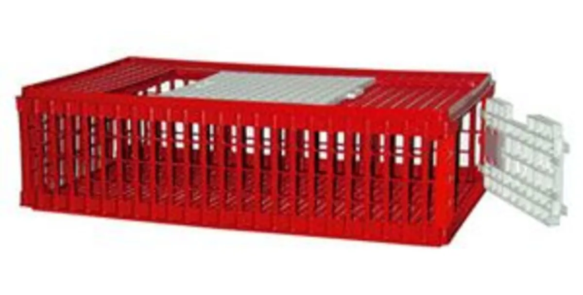 Pheasant, Poultry, Quail  & Pigeon Crates - Image 3