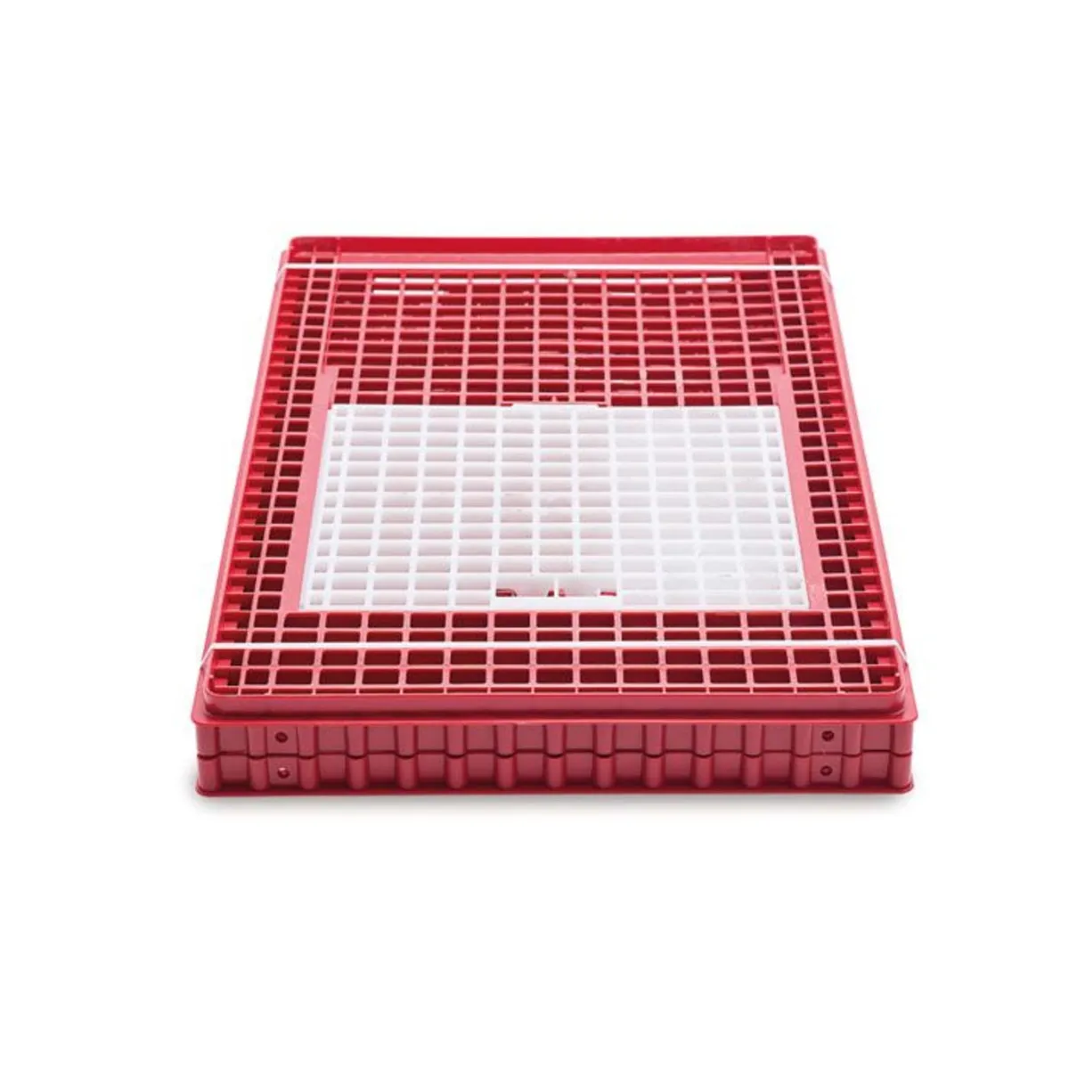 Pheasant, Poultry, Quail  & Pigeon Crates - Image 4
