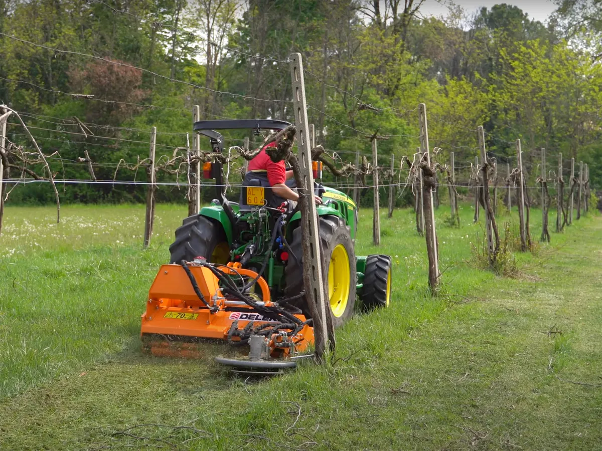 Flail mower with hydr. sideshift & inter-row disc - Image 3