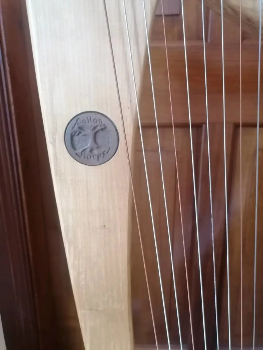 Harp available for Rental - Image 3