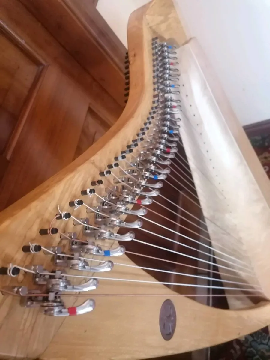 Harp available for Rental - Image 4
