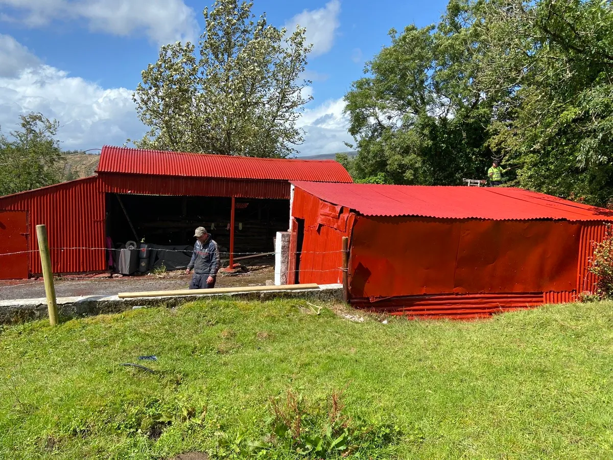 Sheds and roof painting - Image 3