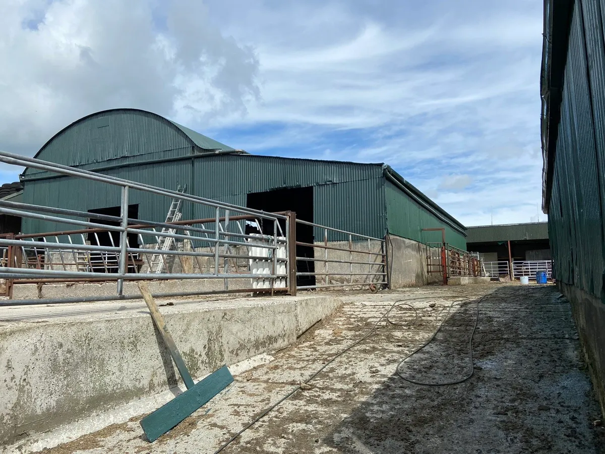 Sheds and roof painting - Image 4