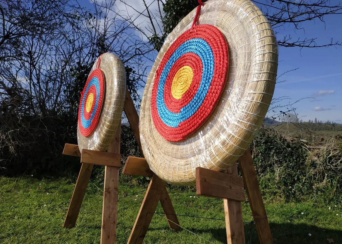 Archery target deals arrows for sale