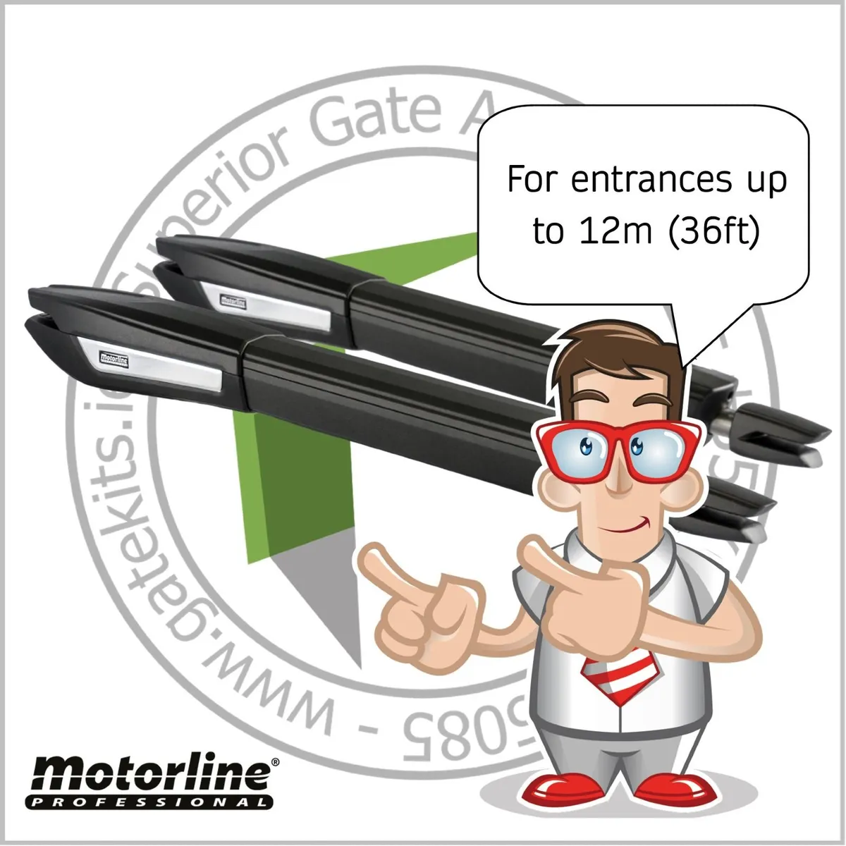 Electric Gates - Image 4
