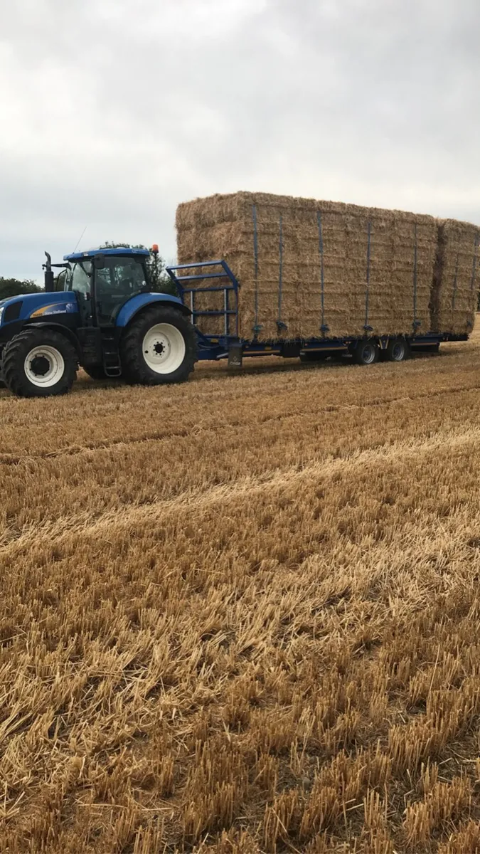 Quality hay + straw Square + round - Image 4