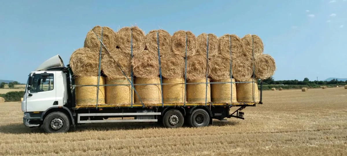 Silage bales for sale and  bales of straw