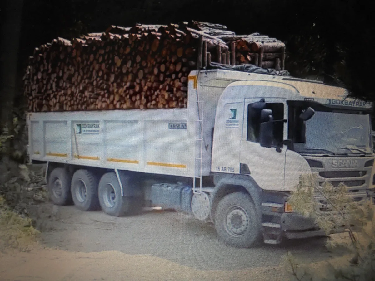 @@ FIREWOOD. - Image 1