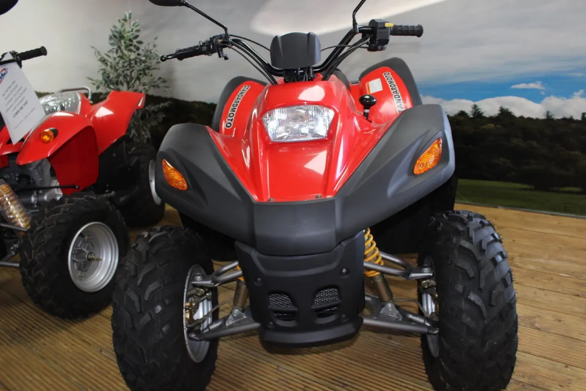 SMC170 Fun & Utility Quad ATV - Image 3