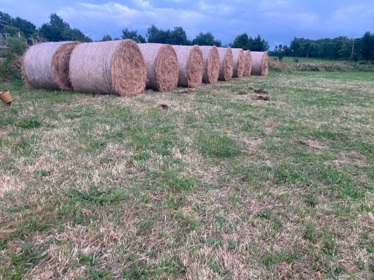 Hay Bales For Sale In Limerick For 1 234 On Donedeal