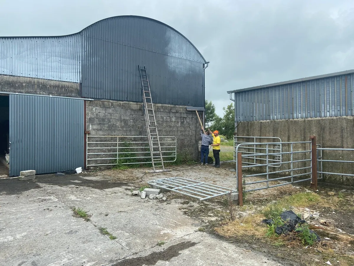 Shed and roof painting - Image 2