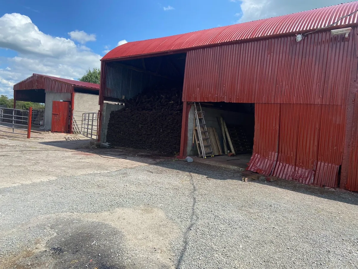 Shed and roof painting - Image 3