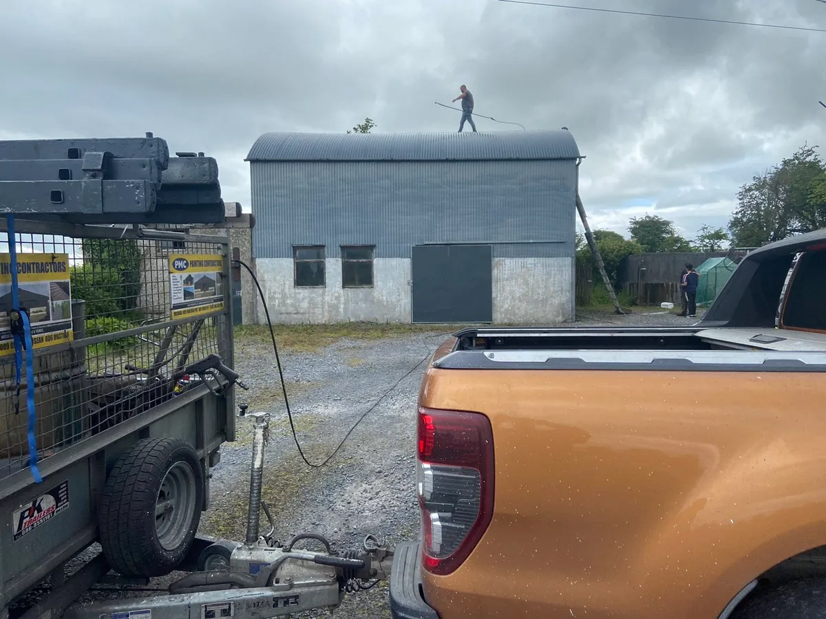 Shed and roof painting - Image 4