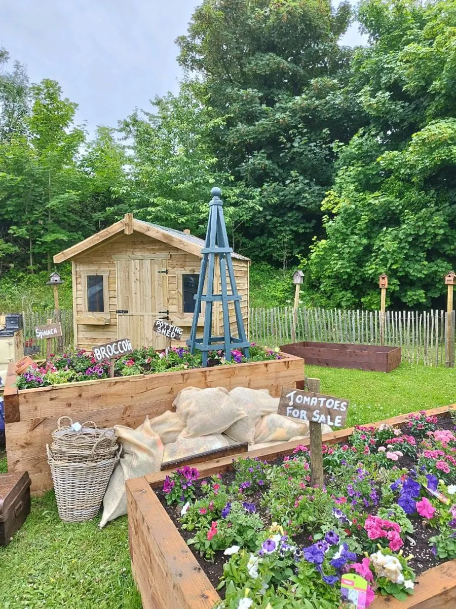 Shed - Image 3