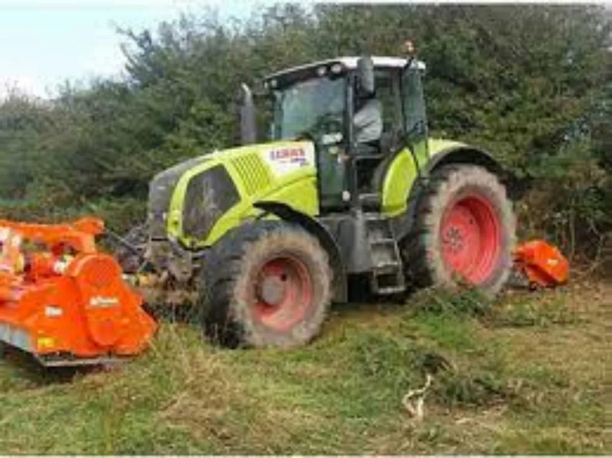 RINIERI T-RAPTOR HEAVY DUTY  MULCHER - Image 4