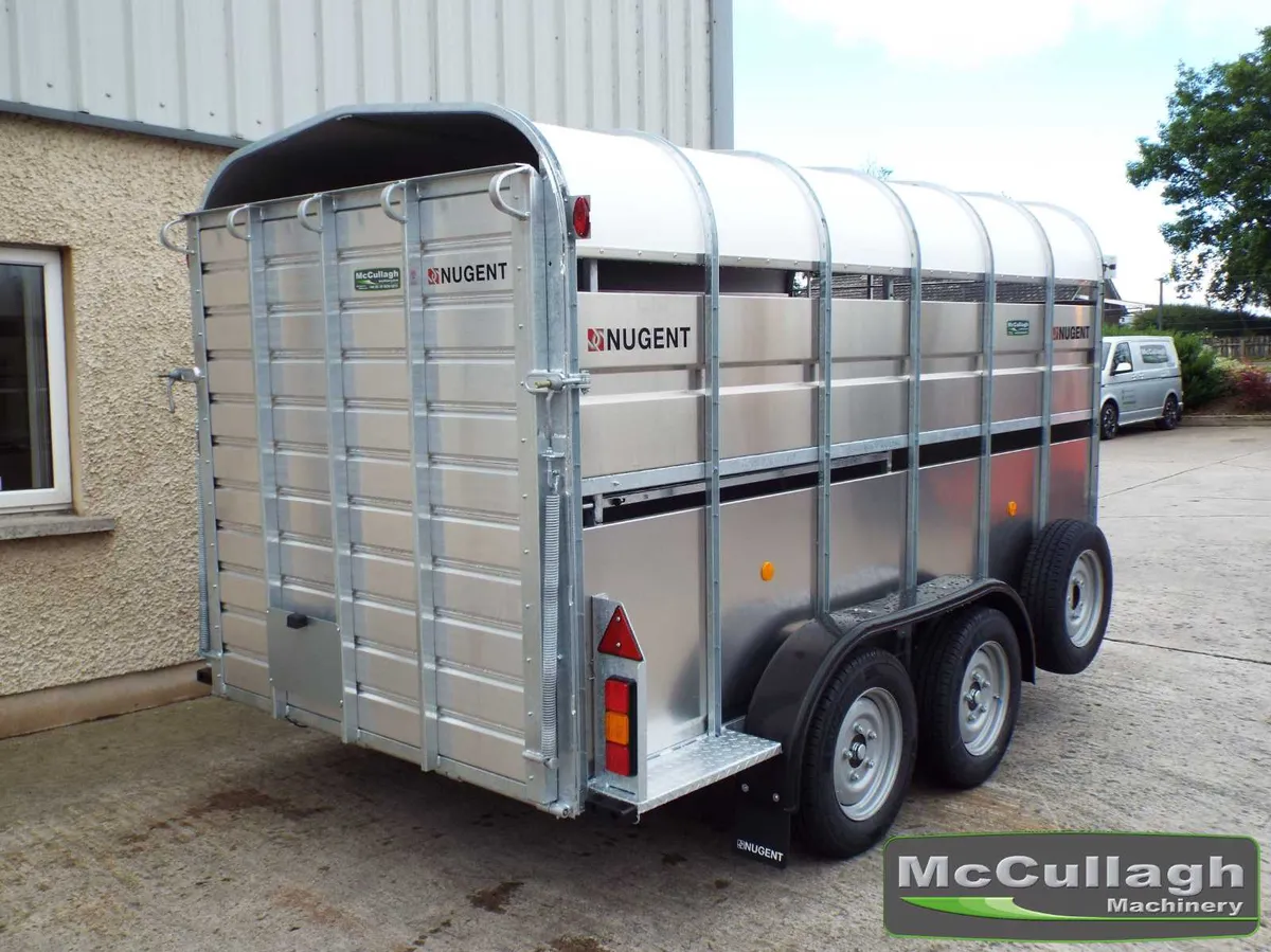 New Nugent 12x6 Cattle Trailer - Image 3