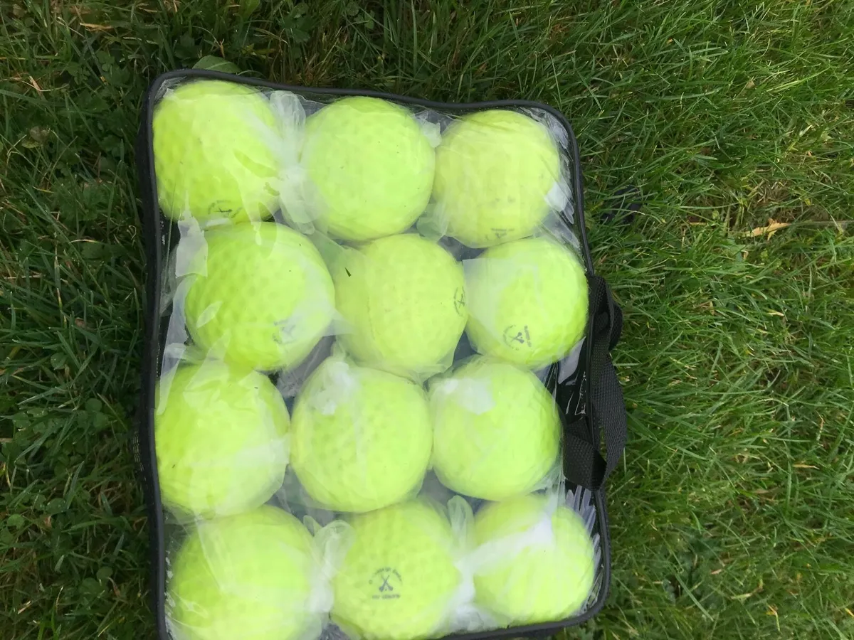 Sliotars/Hurley/Hurling SIZE 4 - Image 3