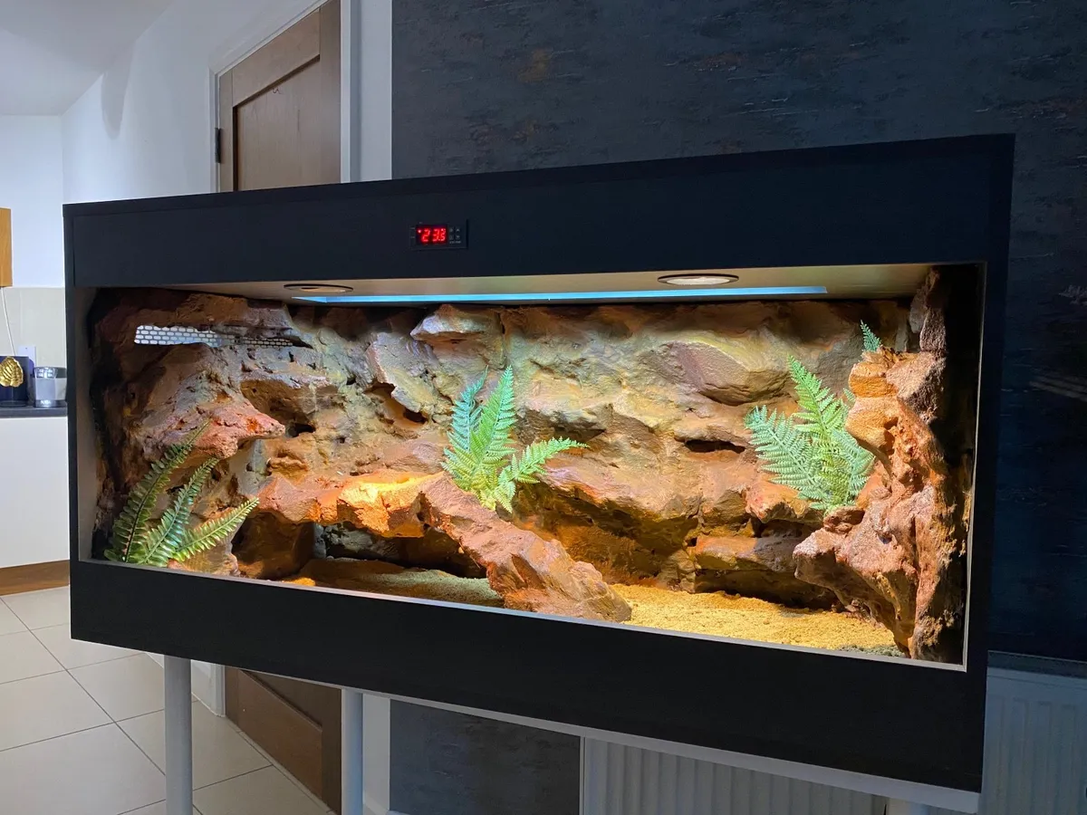Tank terra reptiles gecko bearded dragon snake - Image 1