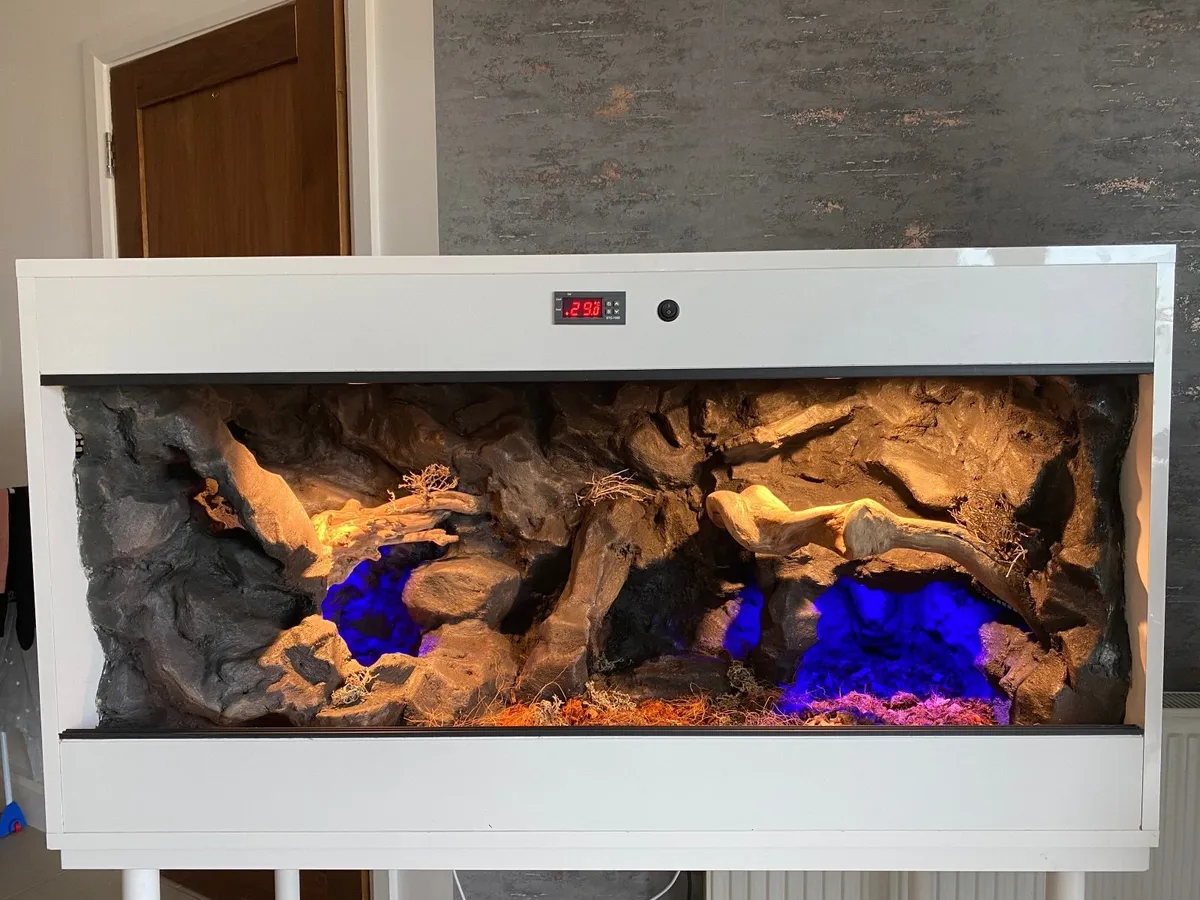 Tank terra reptiles gecko bearded dragon snake - Image 3