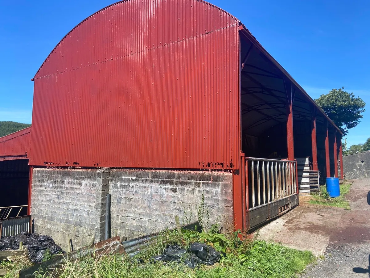 Shed painting - Image 3