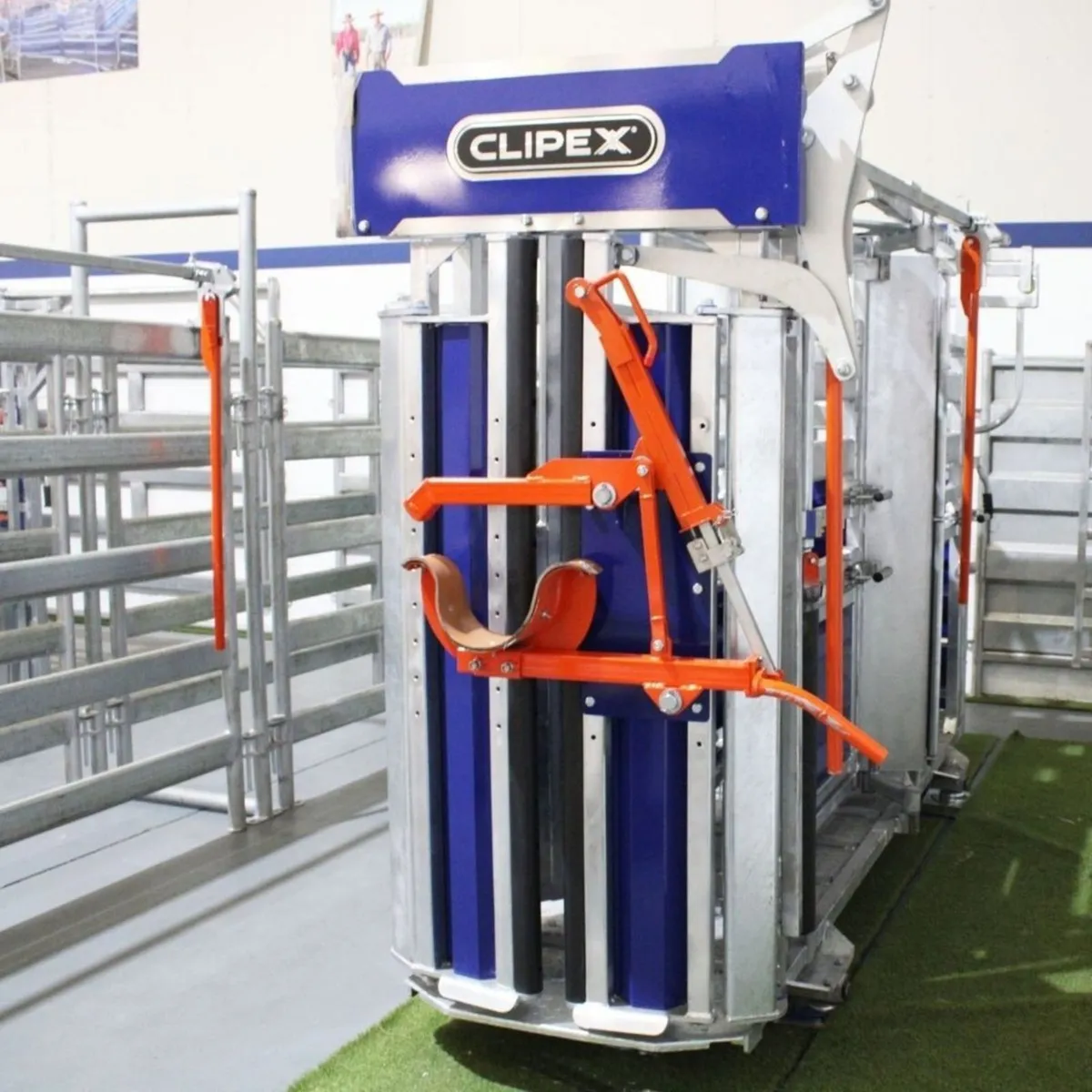 Clipex HDX1100 Manual Cattle Crush - Image 3