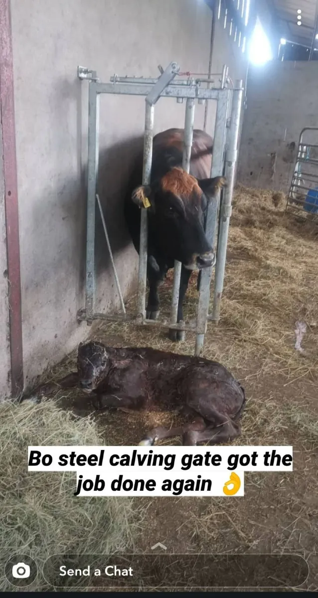 Leam AGRI. Calving gates. Bo steel