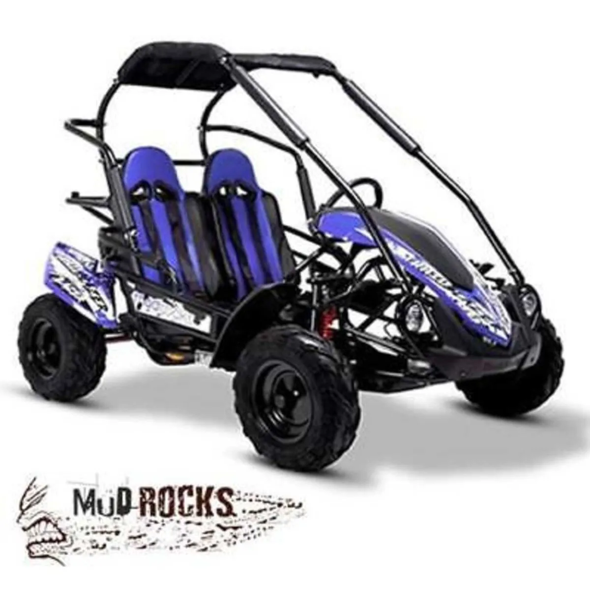 MUDROCKS gt 200 FAMILY size buggy DELIVERY - Image 1