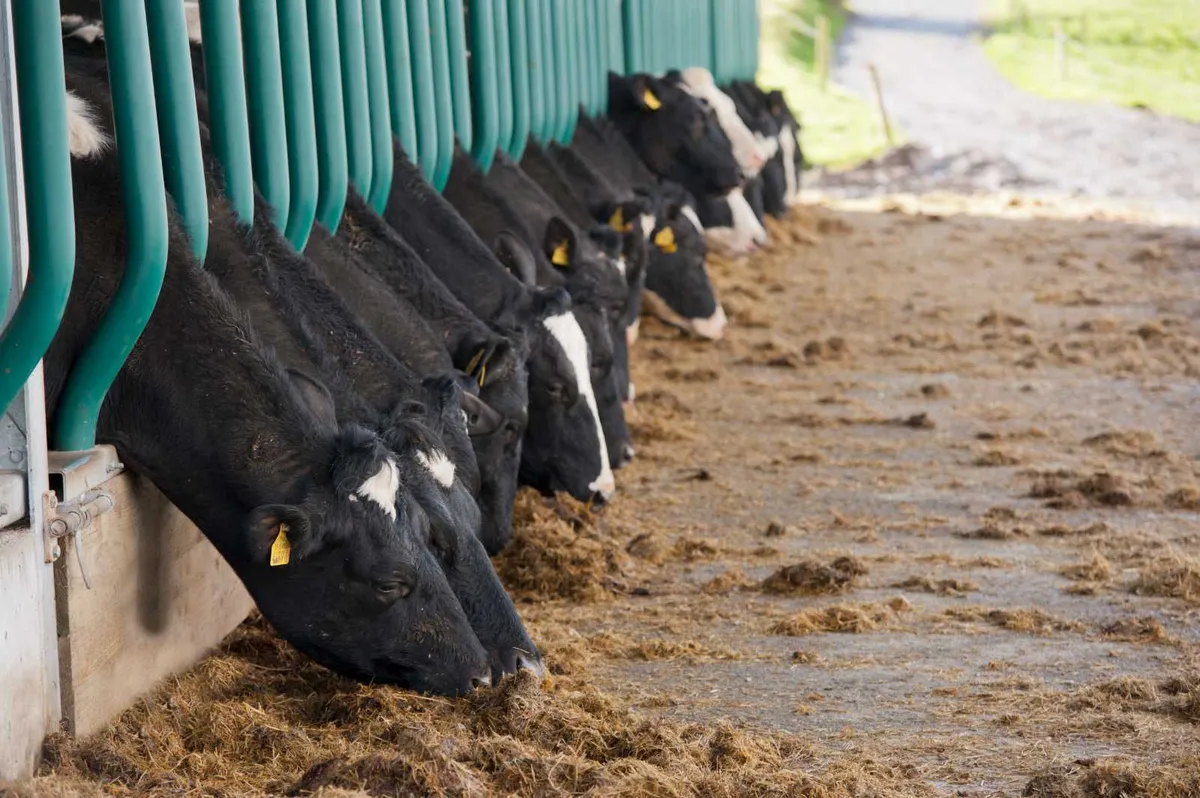 Evolve Feed Rail Barrier Fence - Image 1