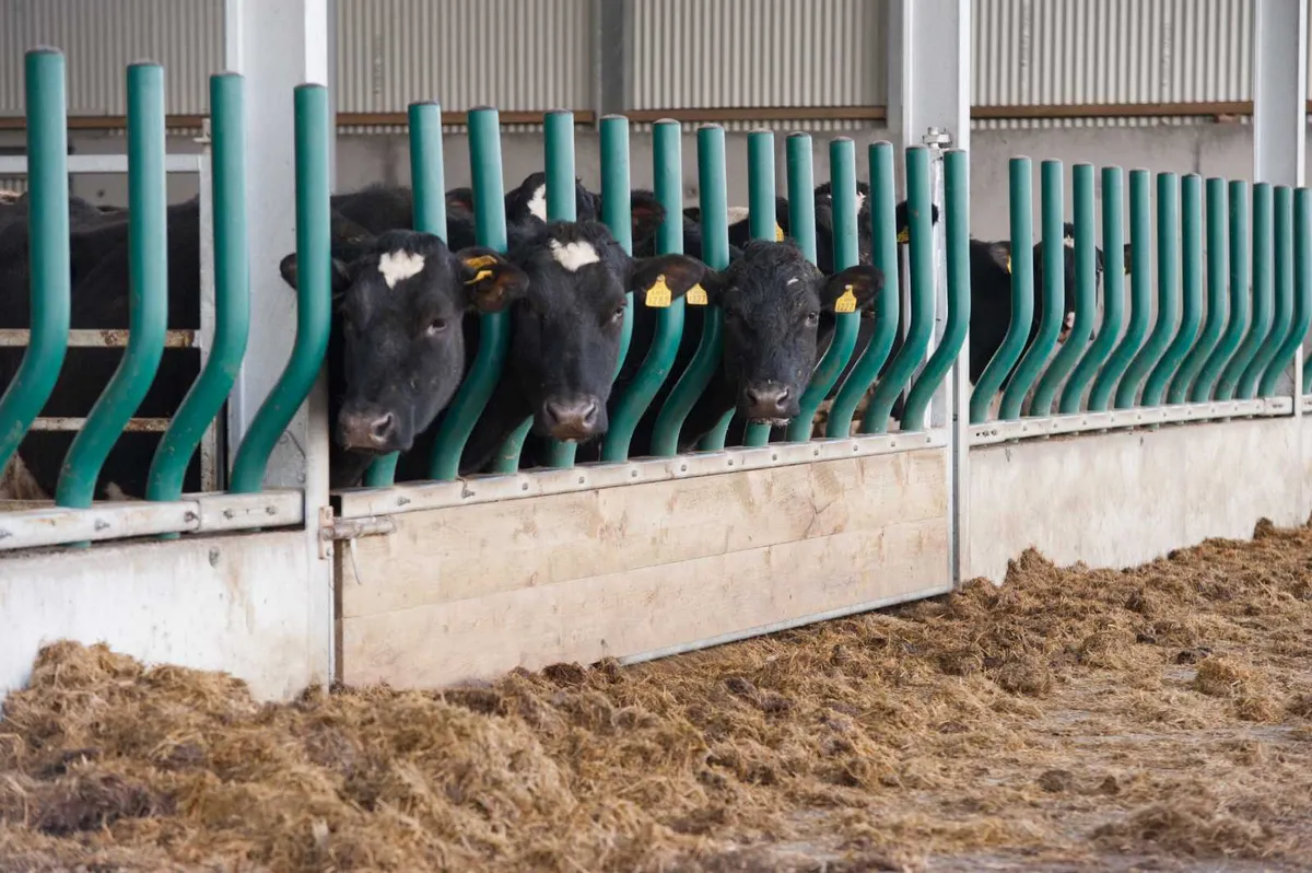Evolve Feed Rail Barrier Fence - Image 4